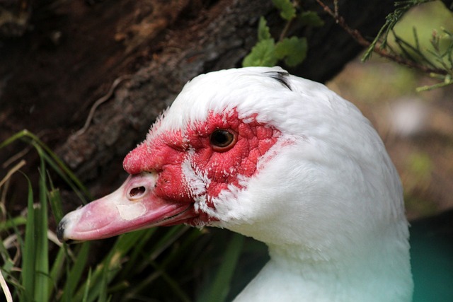 在防守端 在防守端