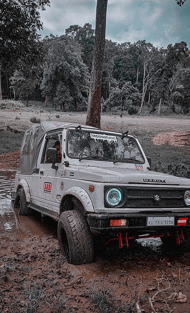 湖人内线 湖人内线