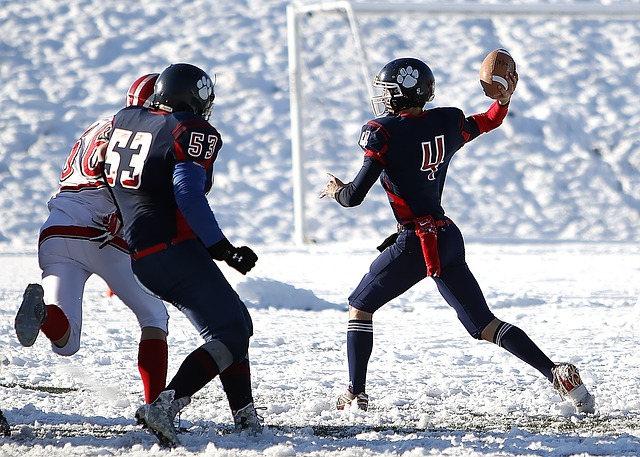 球迷的狂热 球迷的狂热