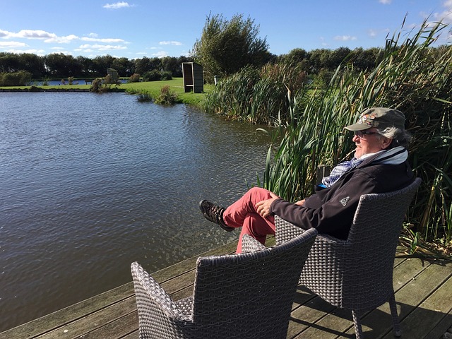 新哈蘭德 新哈蘭德