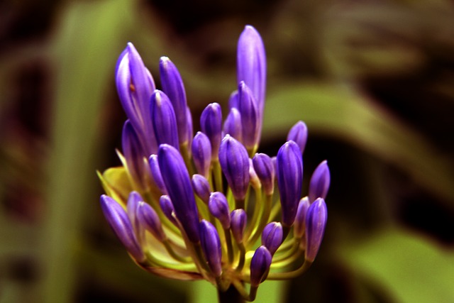 在此前的几 在此前的几