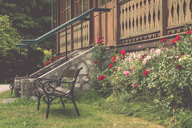 发出新的活 发出新的活