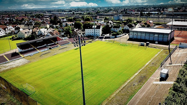 季初的表現 季初的表現