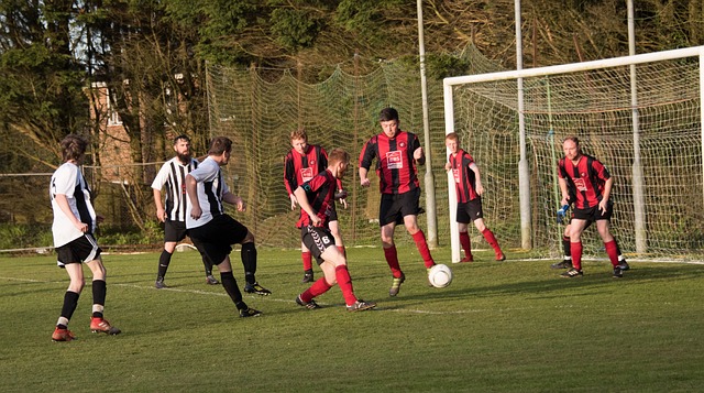 连胜步伐难挡：斩杀雄鹿，阳继续连胜步伐.