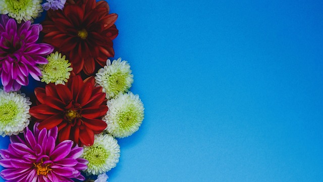 全场不仅攻 全场不仅攻