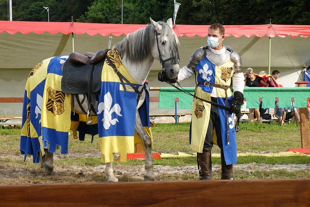 崭新时代的 崭新时代的