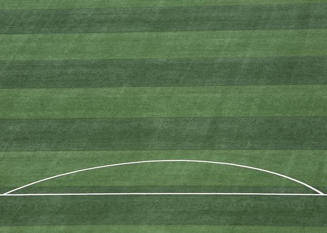 在这个背景 在这个背景