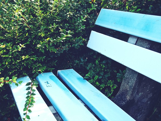 因为他深知 因为他深知