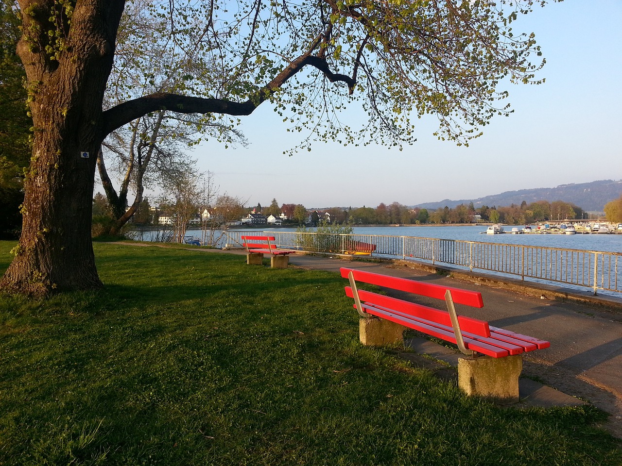 最终比分定 最终比分定