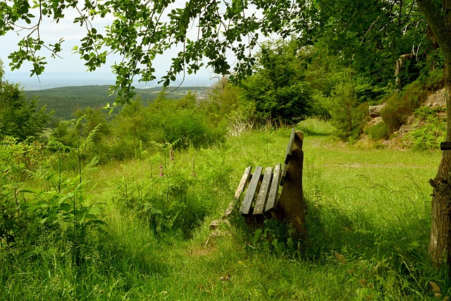 未能在排名 未能在排名
